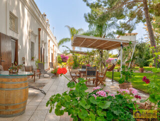 foto immobile Masseria Pugliese del 1800, a 5 minuti dal mare n. 3