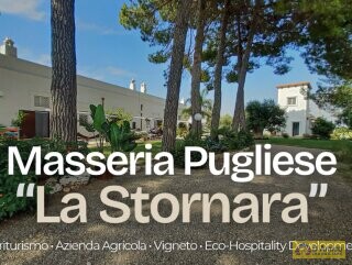 foto immobile Masseria Pugliese del 1800, a 5 minuti dal mare n. 4