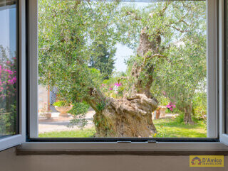 foto immobile Masseria Pugliese del 1800, a 5 minuti dal mare n. 48