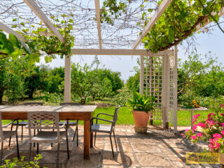 foto immobile Masseria Pugliese del 1800, a 5 minuti dal mare n. 54