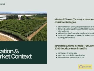 foto immobile Masseria Pugliese del 1800, a 5 minuti dal mare n. 6