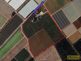 foto immobile Masseria Pugliese del 1800, a 5 minuti dal mare n. 66