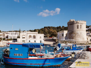 foto immobile Appartamento indipendente a 50mt dal mare di Torre Vado n. 18
