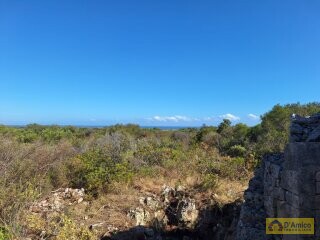 foto immobile Villa vista mare, di nuova Costruzione, tra gli ulivi di Carovigno n. 11