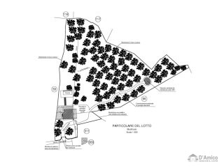 foto immobile Villa vista mare, di nuova Costruzione, tra gli ulivi di Carovigno n. 14