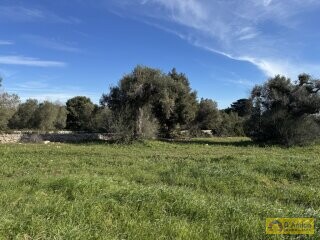 foto immobile Ampia e Moderna Villa con Piscina a Carovigno n. 15