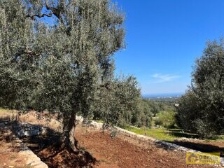 foto immobile Moderna Villa con Piscina, vista mare in costruzione n. 15