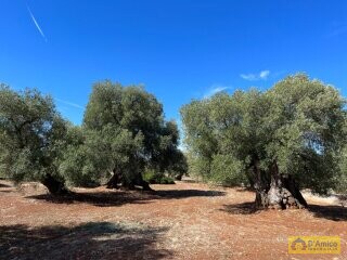 foto immobile Moderna Villa con Piscina, vista mare in costruzione n. 16