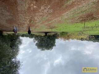 foto immobile Progetto per villa moderna con piscina e antichi trulli ad Ostuni n. 24