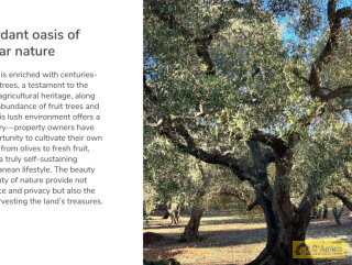 foto immobile Progetto per villa moderna con piscina e antichi trulli ad Ostuni n. 5