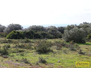 foto immobile Terreno Vista Mare con Autorizzazioni per Luminosa Villa con Piscina n. 12