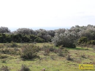 foto immobile Terreno Vista Mare con Autorizzazioni per Luminosa Villa con Piscina n. 13