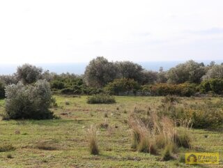 foto immobile Terreno Vista Mare con Autorizzazioni per Luminosa Villa con Piscina n. 14