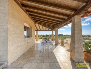 foto immobile Villa Mediterranea, con piscina e vista mare nel Salento n. 27
