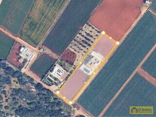 foto immobile Villa Mediterranea, con piscina e vista mare nel Salento n. 34