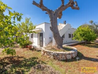 foto immobile Villa Panoramica, con pajara e vista mare, a Pescoluse n. 23