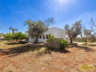 foto immobile Villa Panoramica, con pajara e vista mare, a Pescoluse n. 26