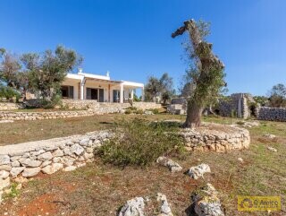 foto immobile Villa Panoramica, con pajara e vista mare, a Pescoluse n. 27