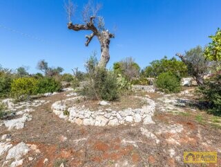 foto immobile Villa Panoramica, con pajara e vista mare, a Pescoluse n. 28