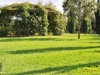 foto immobile Borgo di Trulli Autentico, con piscina, ad Ostuni n. 30