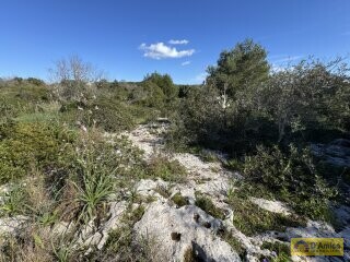 foto immobile Terreno panoramico con progetto per Villa con piscina a Santa Maria di Leuca n. 9