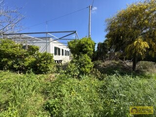 foto immobile Villa fronte mare a Torre Vado, con Pajara e possibilità di Piscina n. 25