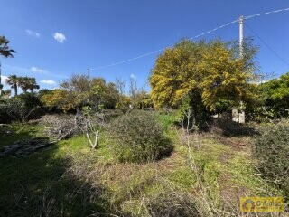 foto immobile Villa fronte mare a Torre Vado, con Pajara e possibilità di Piscina n. 27