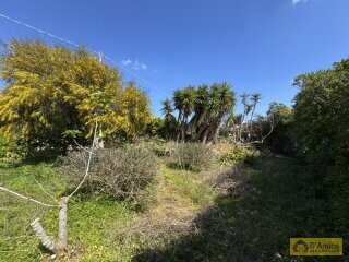 foto immobile Villa fronte mare a Torre Vado, con Pajara e possibilità di Piscina n. 29