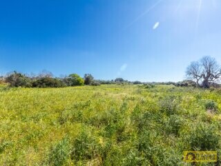 foto immobile Caratteristica villa a rustico con piscina, vista mare,  in vendita a Torre Vado n. 25
