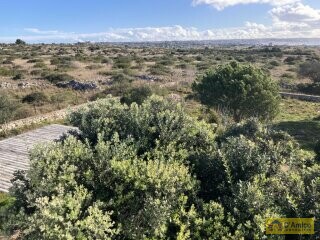 foto immobile Villa con Vista mare mozzafiato sulle spiagge di Pescoluse, nel Salento n. 37