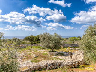 foto immobile Raffinata Villa Vista Mare con Dependance e Giardino Mediterraneo n. 41