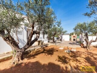 foto immobile Raffinata Villa a 250 metri dal mare, nei pressi di Gallipoli, in Salento n. 33