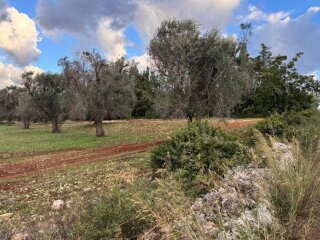 Building plot for a stunning Villa with a Swimming Pool in Carovigno