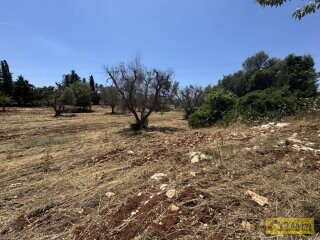 foto immobile Terreno edificabile per splendida Villa con Piscina a Carovigno n. 2