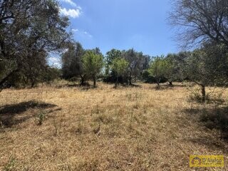 foto immobile Lussuosa Villa con Piscina, chiavi in mano, a Carovigno (BR) n. 31