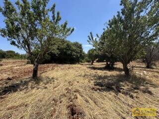 foto immobile Lussuosa Villa con Piscina, chiavi in mano, a Carovigno (BR) n. 20