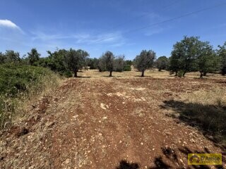 foto immobile Lussuosa Villa con Piscina, chiavi in mano, a Carovigno (BR) n. 23