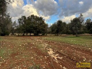 foto immobile Lussuosa Villa con Piscina, con progetto in itinere, a Carovigno (BR) n. 18