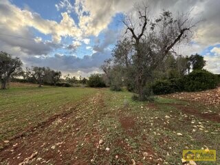 foto immobile Lussuosa Villa con Piscina, con progetto in itinere, a Carovigno (BR) n. 19