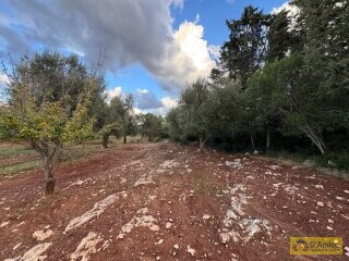 foto immobile Lussuosa Villa con Piscina, con progetto in itinere, a Carovigno (BR) n. 20