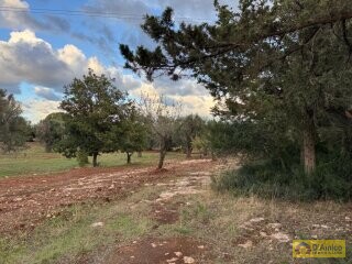 foto immobile Lussuosa Villa con Piscina, con progetto in itinere, a Carovigno (BR) n. 21