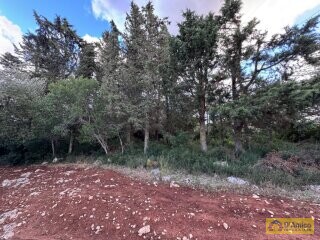 foto immobile Lussuosa Villa con Piscina, con progetto in itinere, a Carovigno (BR) n. 23