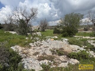 foto immobile  Nuova Villa con Piscina e Lamione a Torre Vado, nel Salento  n. 10