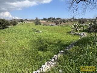 foto immobile  Nuova Villa con Piscina e Lamione a Torre Vado, nel Salento  n. 11