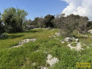 foto immobile  Nuova Villa con Piscina e Lamione a Torre Vado, nel Salento  n. 12