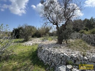 foto immobile  Nuova Villa con Piscina e Lamione a Torre Vado, nel Salento  n. 13