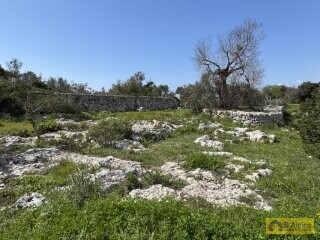 foto immobile  Nuova Villa con Piscina e Lamione a Torre Vado, nel Salento  n. 14