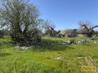 foto immobile  Nuova Villa con Piscina e Lamione a Torre Vado, nel Salento  n. 15