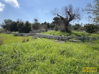 foto immobile  Nuova Villa con Piscina e Lamione a Torre Vado, nel Salento  n. 16