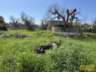 foto immobile  Nuova Villa con Piscina e Lamione a Torre Vado, nel Salento  n. 17